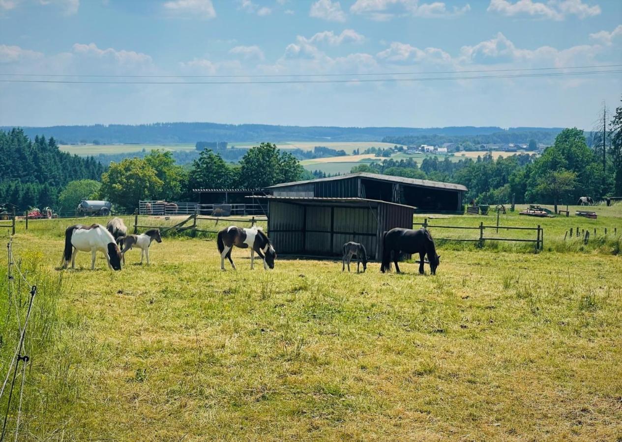 Ferienwohnung Eifel Hümmel Zewnętrze zdjęcie